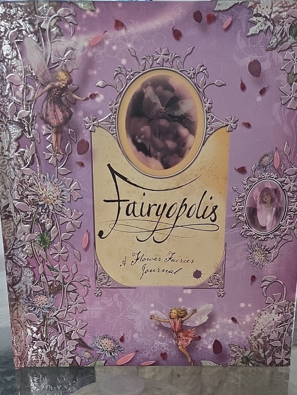 ✨VTG 2005 Fairypolis: A Flower Fairies' Journal 🌸🧚‍♀️EUC
